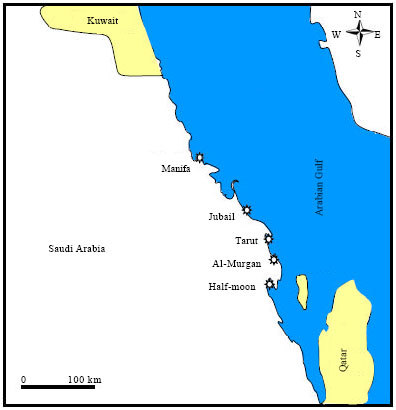 Image for - Effects of Multiple-source Pollution on Spatial Distribution of Polychaetes in Saudi Arabia