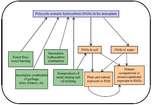 Image for - Workplace Exposure to Polycyclic Aromatic Hydrocarbons (PAHs): A Review and Discussion of Regulatory Imperatives for Nigeria