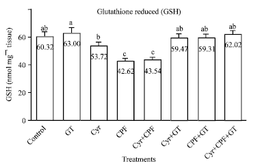 Image for - Oxidative Damage and Reproductive Toxicity Associated with Cyromazine and 
  Chlorpyrifos in Male Rats: The Protective Effects of Green Tea Extract