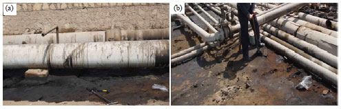 Image for - HPLC Evaluation of PAHS Polluted Soil in Coastal Petroleum Refinery Site Northwestern Suez Gulf, Egypt