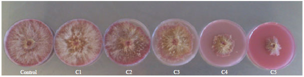 Image for - Determination of Median Effective Inhibitory Concentration of Three Fungicides Widely Used for Treatment of Wheat on the Target Pest Fusarium sp.