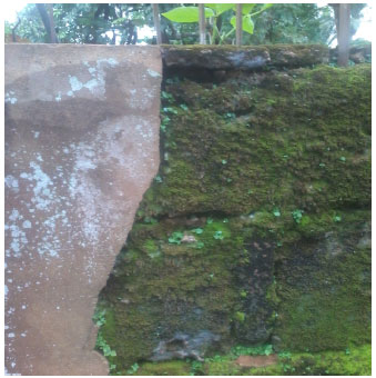 Image for - Investigative Study of Biodeterioration of External Sandcrete/Concrete Walls in Nigeria