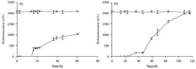 Image for - Detoxification Assessment of Inorganic Mercury by Bioluminescence of Vibrio fischeri