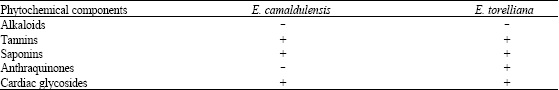 Image for - The Phytochemical Screening and Antimicrobial Activity of Leaf Extracts of Eucalyptus camaldulensis and Eucalyptus torelliana (Myrtaceae)