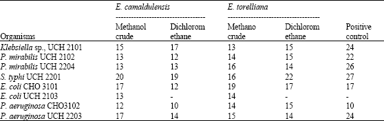 Image for - The Phytochemical Screening and Antimicrobial Activity of Leaf Extracts of Eucalyptus camaldulensis and Eucalyptus torelliana (Myrtaceae)