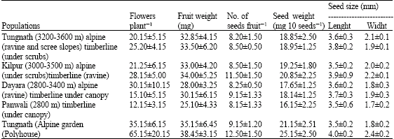 Image for - Reproductive Biology and Breeding System of Aconitum balfourii (Benth) Muk: A High Altitude Endangered Medicinal Plant of Garhwal Himalaya, India