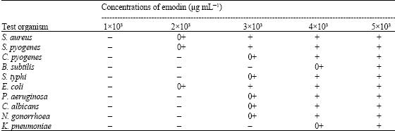 Image for - Isolation, Characterisation and Antimicrobial Activity of a Steroidal Ester from the Leaves of Cassia nigricans Vahl.