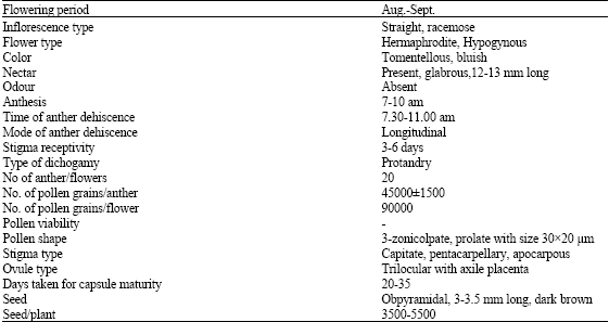 Image for - Reproductive Biology and Breeding System of Aconitum balfourii (Benth) Muk: A High Altitude Endangered Medicinal Plant of Garhwal Himalaya, India