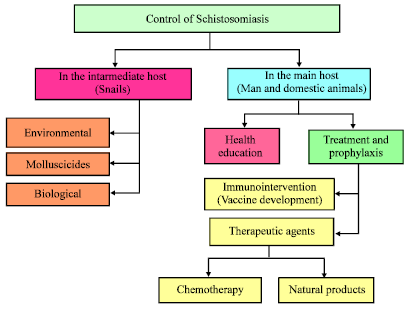 schistosomiasis treatment and prevention