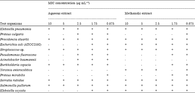 Image for - Evaluation of Antibacterial Potential of Crude Extract of Moringa oleifera seed on Orthopaedics Wound Isolates and Characterization of Phenylmethanamine and Benzyl Isothiocyanate Derivatives