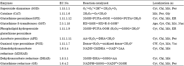 Image for - Antioxidant Potential and Nutritional Values of Vegetables: A Review