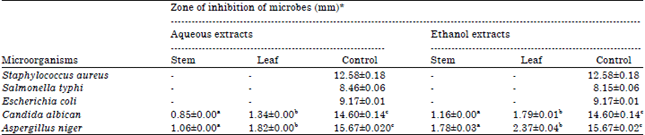 Image for - Phytochemical Screening, Antifungal and Antibacterial Activity of Aqueous and Ethanolic Leaf and Stem Extracts of Gnetum africanum Welw
