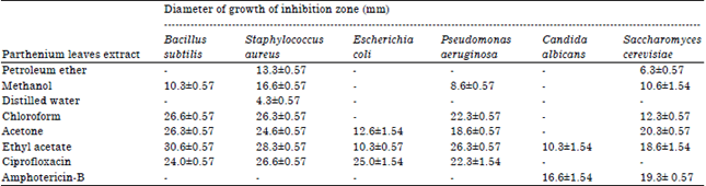 Image for - Antimicrobial Activity of Medicinal Plant: Parthenium hysterophorus L.