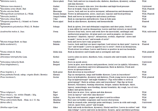 Image for - Ethnomedicinal Uses of Tree Species by Tharu Tribes in the Himalayan Terai Region of India
