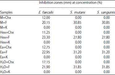 Image for - Antibacterial Potential of Kemangi (Ocimum basilicum L.) Against Pathogenic Oral Bacteria: An in vitro Study
