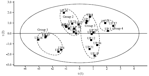 Image for - Principal Component Analysis based Clustering of UPASI Tea Cultivars for their Diversity on Free Radical Scavenging Activity