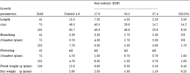 Image for - Effects of soil sodicity on growth, nutrients uptake and Bio-chemical responses of Ammi majus L.