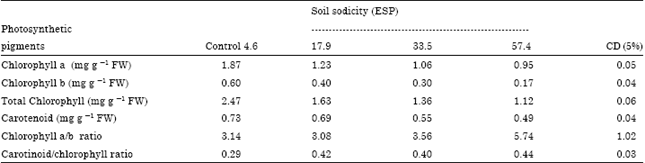 Image for - Effects of soil sodicity on growth, nutrients uptake and Bio-chemical responses of Ammi majus L.