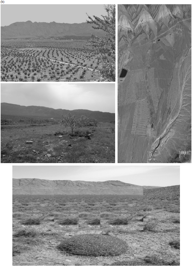Image for - Effect of Land Use Change on Carbon Sequestration: A Case Study in Shahmirzad Walnut Orchad, Semnan, Iran