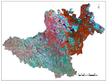 Image for - Vegetation Cover Mapping and Landscape Level Disturbance Gradient Analysis in Warangal District, Andhra Pradesh, India Using Satellite Remote Sensing and GIS