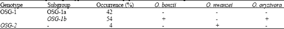 Image for - Identification and Differentiation of Orseolia Species in Nigeria as Revealed by SCAR-PCR Analysis
