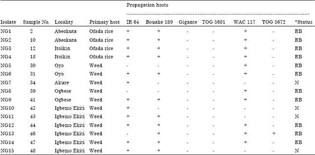 Image for - Occurrence, Distribution and Characterization of Rice Yellow Mottle Virus Isolates Genus Sobemovirus in Southwest Nigeria