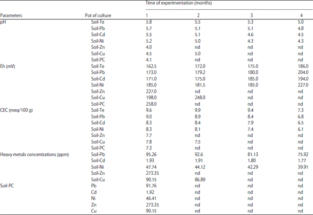 Image for - Phytoextraction Capacity of Panicum maximum Grown on Synthetic Heavy Metals Contaminated Soil