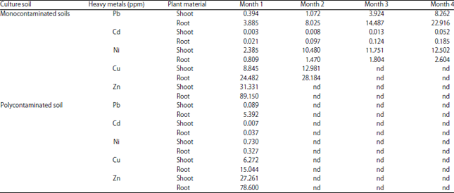 Image for - Phytoextraction Capacity of Panicum maximum Grown on Synthetic Heavy Metals Contaminated Soil