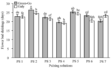 Image for - Effect of Pulsing Solution on Postharvest Performance of Carnation (Dianthus caryophyllus L.) Cultivars