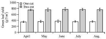 Image for - Effect of Different Sowing Times and Cutting Management on Phenology and Yield of off Season Coriander under Protected Cultivation