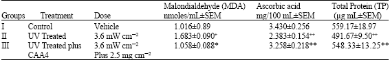 Image for - Biochemical and Histopathological Studies of Herbal Cream Against UV Radiation Induced Damage