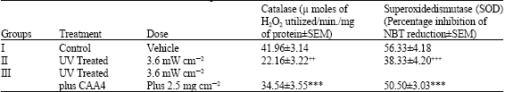 Image for - Biochemical and Histopathological Studies of Herbal Cream Against UV Radiation Induced Damage