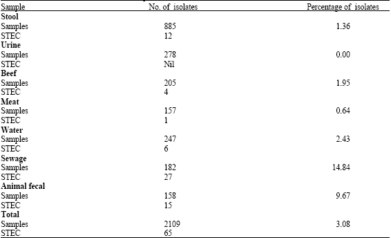 Image for - Prevalence and Antibiotic Sensitivity of Shiga Toxin Producing Escherichia coli in Gulbarga Region, India