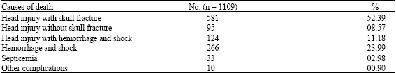 Image for - Fatal Road Traffic Injuries in Northern India: Can They Be Prevented?