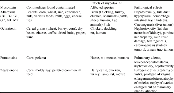 Image for - Mycotoxins in Animal Feeds and Prevention Strategies: A Review