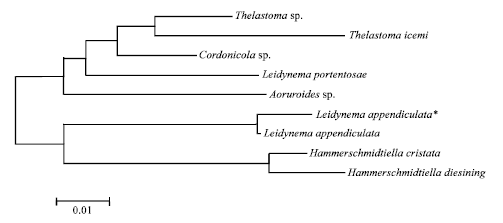 Image for - Genomic DNA Sequence of Leidynema appendiculata from Meerut, U.P., India