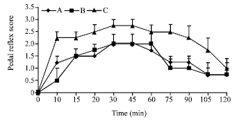 Image for - Effects of Midazolam or Midazolam-Fentanyl on Sedation and Analgesia Produced by Intramuscular Dexmedetomidine in Dogs