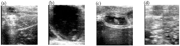 Image for - Underlying Disorders of Postpartum Anoestrus and Effectiveness of their Treatments in Crossbred Dairy Cows