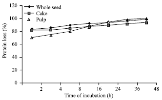 Image for - Chemical Composition and Protein Degradability of Watermelon (Citrullus lanatus) Seeds Cake grown in Western Sudan