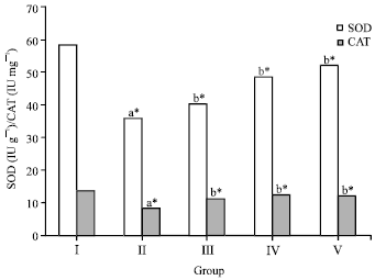 Image for - Anti-hepatotoxic Activity of Crude Flavonoid Fraction of Lippia nodiflora  L. on Ethanol Induced Liver Injury in Rats