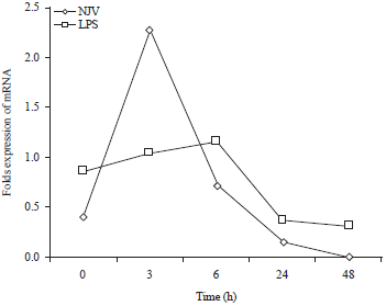 Image for - Quantitation of Cytokine mRNA Expression in Cobra Snake Venom Stimulated PBMC of Horses Using Real-Time RT-PCR
