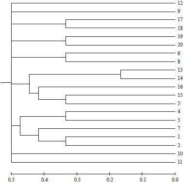 Image for - Unveiling the Genetic Diversity in Clarias gariepinus (Burchell, 1822) Using Random Amplified Polymorphic DNA (RAPD) Fingerprinting Technique