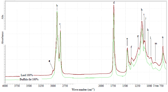 Image for - Determination of Buffalo and Pig "Rambak" Crackers Using FTIR Spectroscopy and Chemometrics