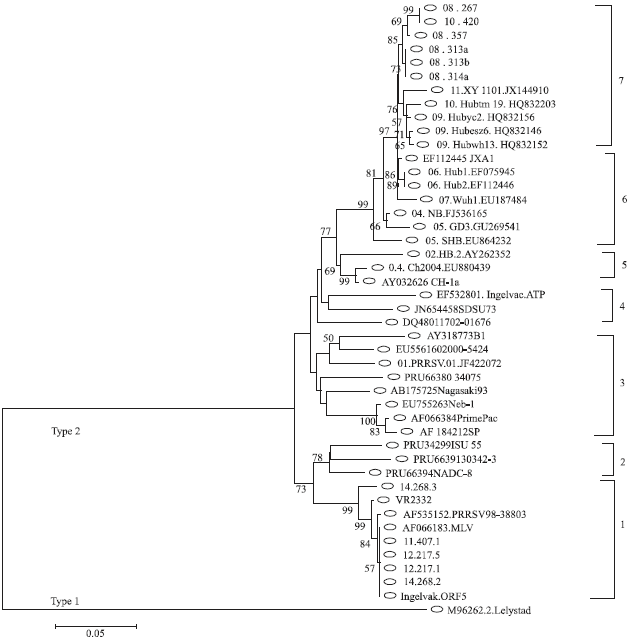 Image for - Genetic Characterization of Open Reading Frame5 (ORF5) of Porcine Reproductive and Respiratory Syndrome Virus in Indonesia Between 2008 and 2014