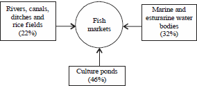 Image for - Fish availability and Marketing System at Local Markets of a Coastal District, Southern Bangladesh