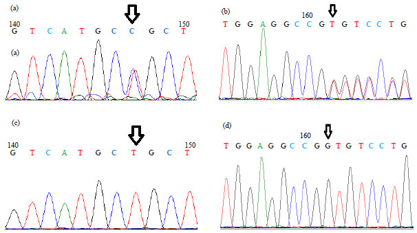 Image for - Sequence Analysis and Identification of Allele Distribution of Melanocortin 1 Receptor (MC1R) Gene in Indonesian Cattle (Bos sondaicus×Bos indicus)
