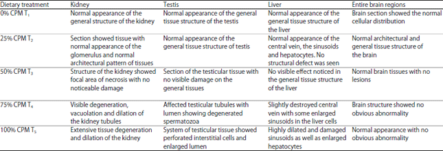 Image for - Histopathological Changes of Some Internal Organs and Brain Regions of Rabbits Fed Dietary Cassava Peel Meal as Replacement for Maize