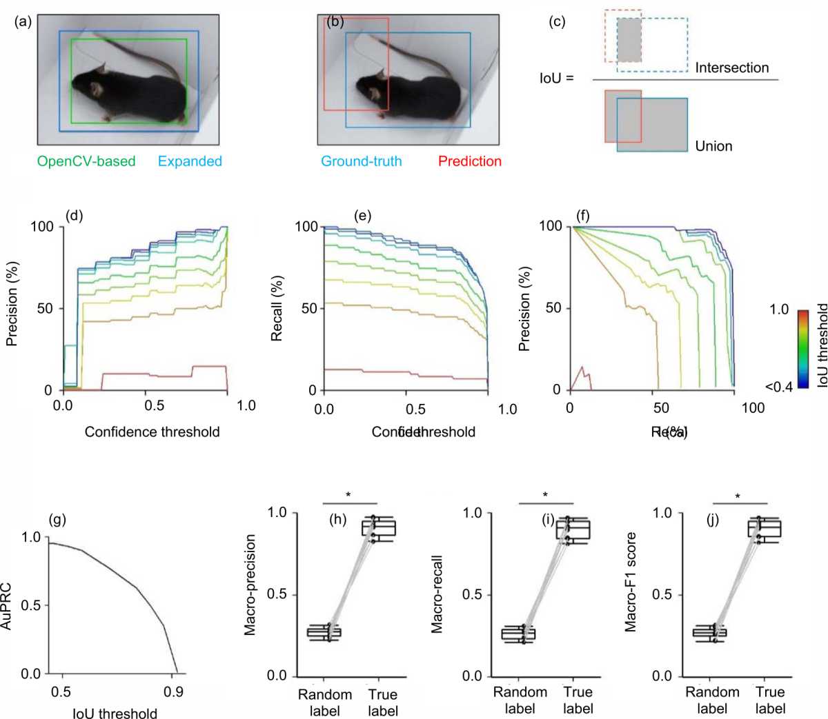 Image for - Machine Learning-Based Individual Identification of Laboratory Mice
