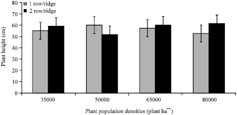 Image for - Agronomic Performance of Paprika (Capsicum annuum L.) in Response to Varying Plant Populations and Arrangement in the Smallholder Sector of Zimbabwe