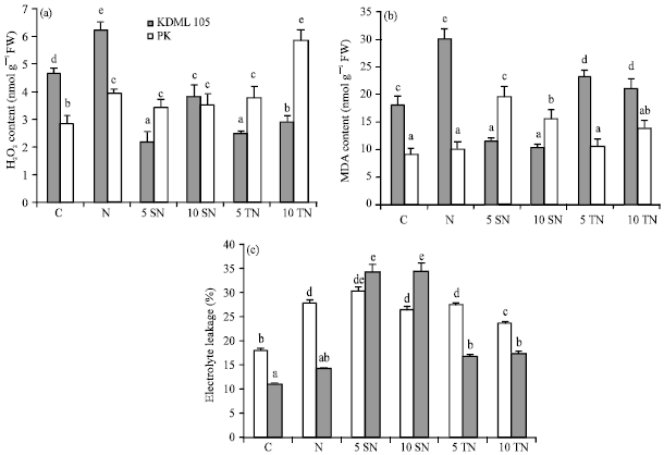 Image for - Exogenous Sorbitol and Trehalose Mitigated Salt Stress Damage in Salt-sensitive but not Salt-tolerant Rice Seedlings
